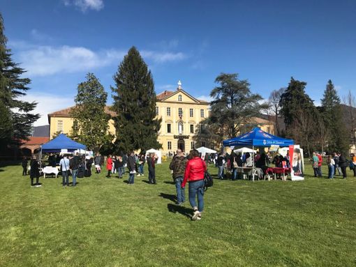 Torna “Giaveno Lavora”: due giorni di incontri, colloqui e orientamento