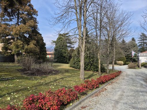 Uno scorcio del parco di Villa Widemann Uno scorcio del parco di Villa Widemann