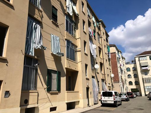 Blatte nei tombini e sulle facciate delle case: scatta la segnalazione all’Asl
