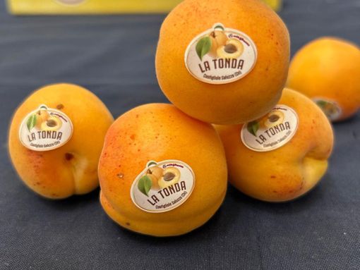 Fantasia di Tonda: domenica 13 luglio il Concorso di dolci che celebrano la Tonda di Costigliole Saluzzo Fantasia di Tonda: domenica 13 luglio il Concorso di dolci che celebrano la Tonda di Costigliole Saluzzo