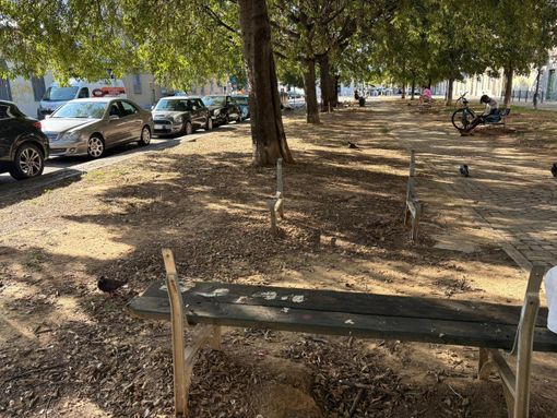 La denuncia dei cittadini: "Le panchine del giardinetto cadono a pezzi" La denuncia dei cittadini: "Le panchine del giardinetto cadono a pezzi"