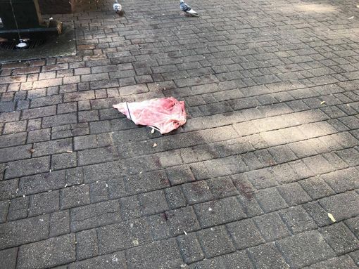 Sangue per terra ai giardinetti Sangue per terra ai giardinetti