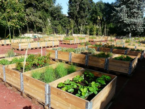 Orti urbani, Chieri investe quasi 100 mila euro per 17 nuove 'casette'