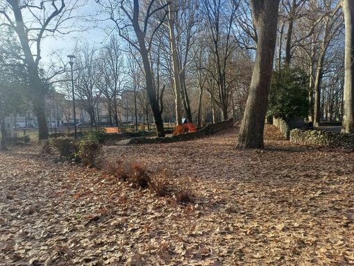Disagi e degrado al parco Michelotti