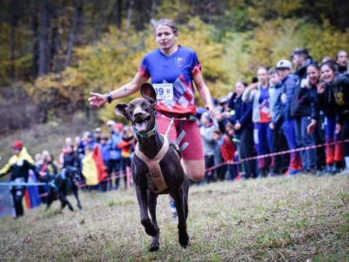 Cani e padroni insieme e di corsa all'interno del Parco di Stupinigi