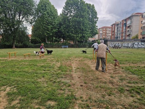 Inaugurata a Moncalieri la nuova area cani Dix Inaugurata a Moncalieri la nuova area cani Dix