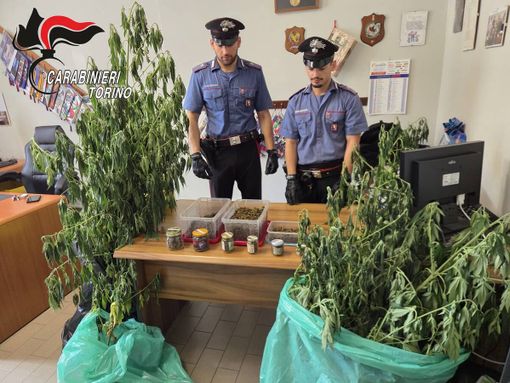 Sono in tutto cinque le persone arrestate dai carabinieri per droga Sono in tutto cinque le persone arrestate dai carabinieri per droga