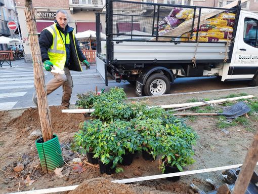 Una cerniera verde lungo via Madama Cristina: il progetto che unisce San Salvario ai suoi confini