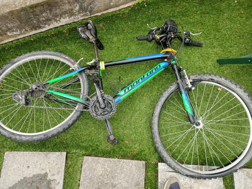 A Marentino i cinghiali disarcionano un ciclista di 13 anni: ricoverato in ospedale A Marentino i cinghiali disarcionano un ciclista di 13 anni: ricoverato in ospedale