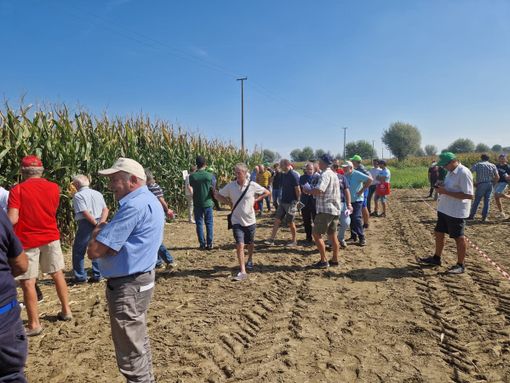 Risultati e nuovi scenari del settore maidicolo al Pignatelli Day Risultati e nuovi scenari del settore maidicolo al Pignatelli Day