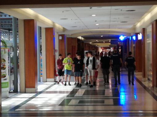 Oggy (senza i maledetti scarafaggi) protagonista domenica 17 a 8 Gallery Oggy (senza i maledetti scarafaggi) protagonista domenica 17 a 8 Gallery