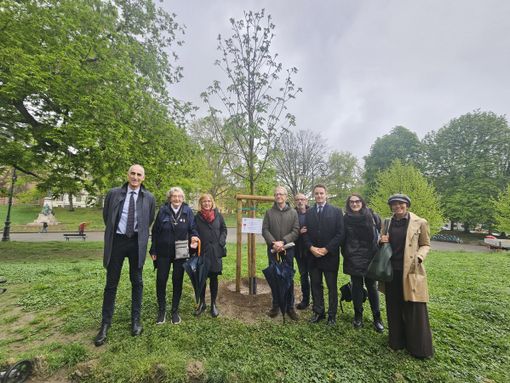 Torino ricorda con un albero Masha Amini, morta per un velo messo male