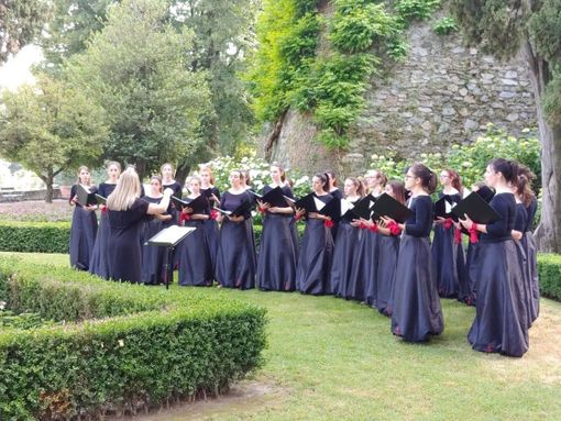 Gran Paradiso dal Vivo