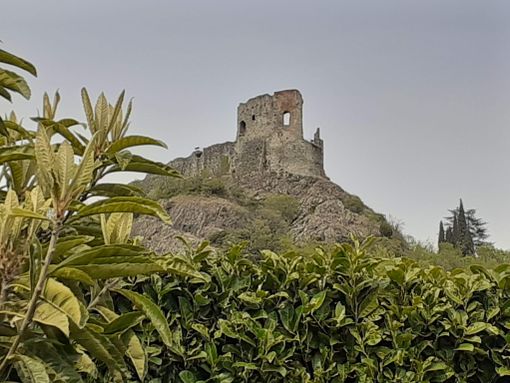 Associazione Archeologica Aviglianese