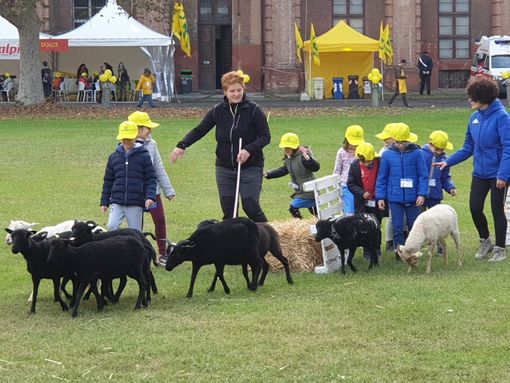 Coldiretti Piemonte: al via il progetto di educazione alimentare