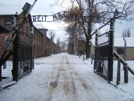 Moncalieri, prende il via “Promemoria-Auschwitz”: per non dimenticare la Shoah Moncalieri, prende il via “Promemoria-Auschwitz”: per non dimenticare la Shoah