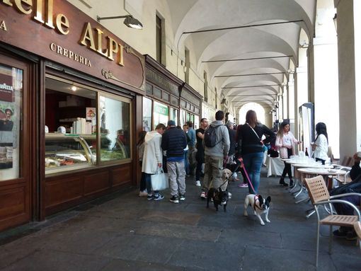 Bau Bau Street, tutti a passeggio con il cane in via Po