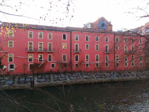 Torino: la Biblioteca Calvino, cuore pulsante della cultura ad Aurora