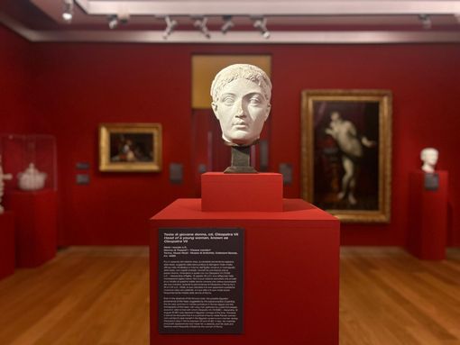 Cleopatra, le mille storie della regina d’Egitto ai Musei Reali Cleopatra, le mille storie della regina d’Egitto ai Musei Reali