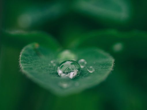 Depuratore d'acqua: quali sono i benefici? Depuratore d'acqua: quali sono i benefici?