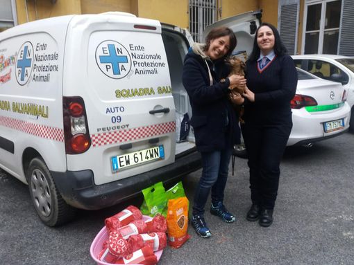 La Polizia locale di Nichelino si autotassa per aiutare il canile di Chieri La Polizia locale di Nichelino si autotassa per aiutare il canile di Chieri