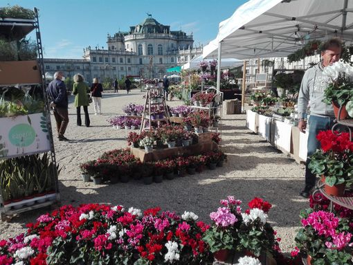 Floreal 2022: la kermesse torna con un'anteprima primaverile alla Palazzina di Caccia di Stupinigi Floreal 2022: la kermesse torna con un'anteprima primaverile alla Palazzina di Caccia di Stupinigi