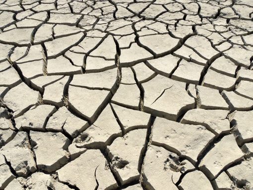 Siccità estrema del Po: nessuna pioggia in vista fino alla metà di aprile e ulteriore calo delle portate Siccità estrema del Po: nessuna pioggia in vista fino alla metà di aprile e ulteriore calo delle portate