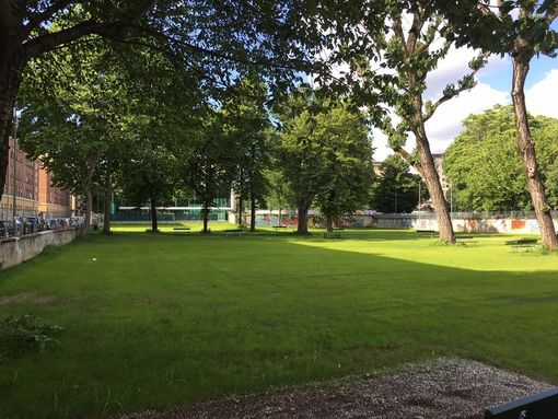 Interventi straordinari verde pubblico, 950 mila euro per la manutenzione di 20 spazi verdi cittadini