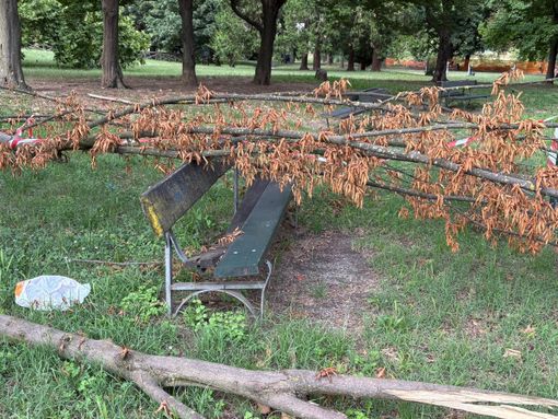 Maxi ramo si schianta su una panchina al Valentino