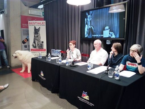 Lassie, Cita e Sfigatto in mostra alla Mole di Torino