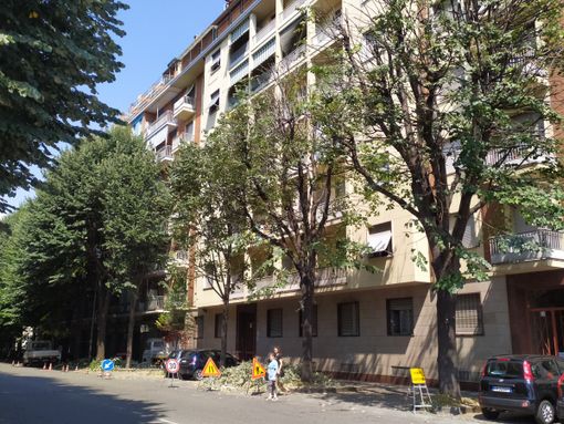 Corso Brescia si rifà il look con la potatura degli alberi