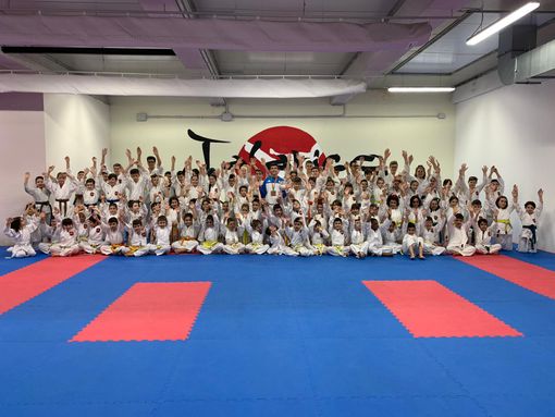 Dal sogno delle Olimpiadi di Tokyo alle lezioni online: il karate del maestro Talarico non si arrende al lockdown