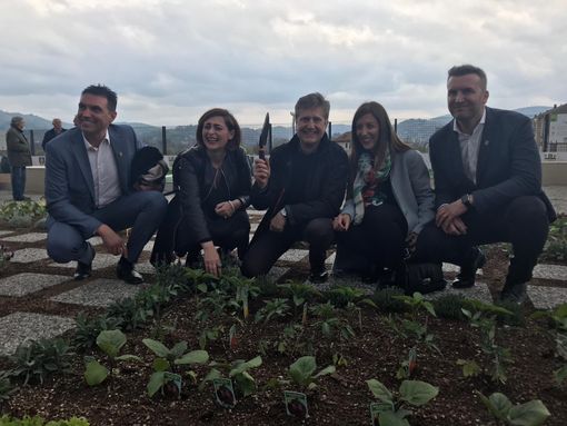 Via Bologna, il nuovo Lidl avvia la “riqualificazione sostenibile”: orti urbani sul tetto del supermercato [VIDEO]