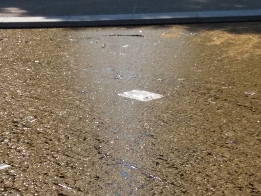 Una ruota e tanta plastica: l'Olimpico si specchia nei tristi laghetti di piazza d'Armi Una ruota e tanta plastica: l'Olimpico si specchia nei tristi laghetti di piazza d'Armi