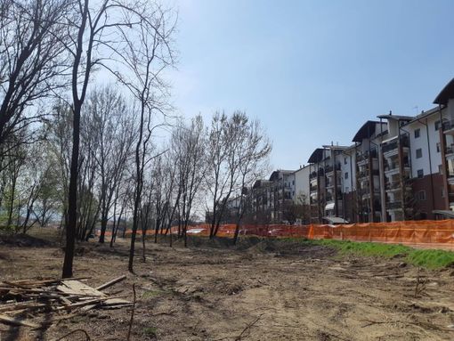 Il bosco di Bertolla Il bosco di Bertolla