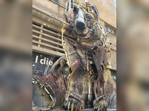 Al centro di Torino "vive" un grande orso: the big bear Al centro di Torino "vive" un grande orso: the big bear