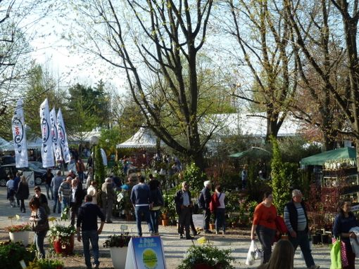 A Carmagnola “Ortoflora & Natura” per un week end all’insegna del giardinaggio e delle scoperte naturalistiche A Carmagnola “Ortoflora & Natura” per un week end all’insegna del giardinaggio e delle scoperte naturalistiche