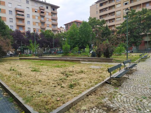 Piazza Risorgimento: “Dopo la giungla c'è il deserto”