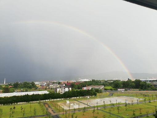 Foto di Rita Rutigliano, Facebook