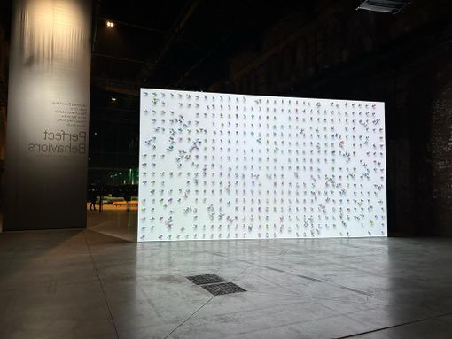 inaugurata Perfect Behaviors alle ogr