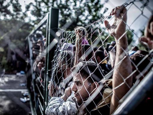 Photo by Sandor Csudai Photo by Sandor Csudai