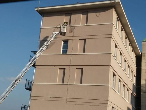 Un micio si salva da una caduta dal quinto piano dell'ospedale di Pinerolo Un micio si salva da una caduta dal quinto piano dell'ospedale di Pinerolo