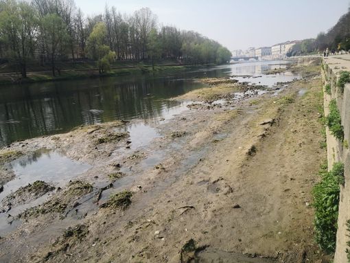 po in secca po in secca