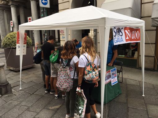 #EleggiloTu: sabato anche a Torino raccolta firme per l’elezione diretta del presidente della Repubblica #EleggiloTu: sabato anche a Torino raccolta firme per l’elezione diretta del presidente della Repubblica