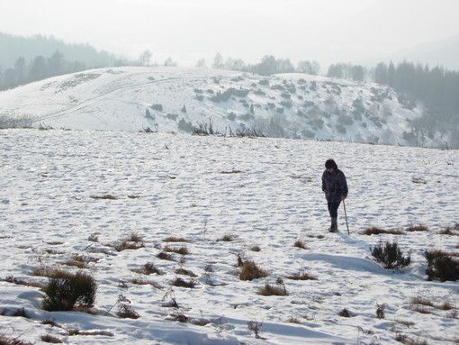 Sulla dorsale innevata (ph. Mauro Carlesso) Sulla dorsale innevata (ph. Mauro Carlesso)