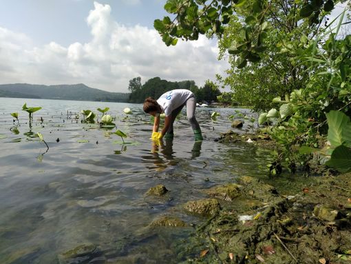 Inquinati 16 dei 24 punti monitorati da Goletta verde nei laghi del Piemonte Inquinati 16 dei 24 punti monitorati da Goletta verde nei laghi del Piemonte