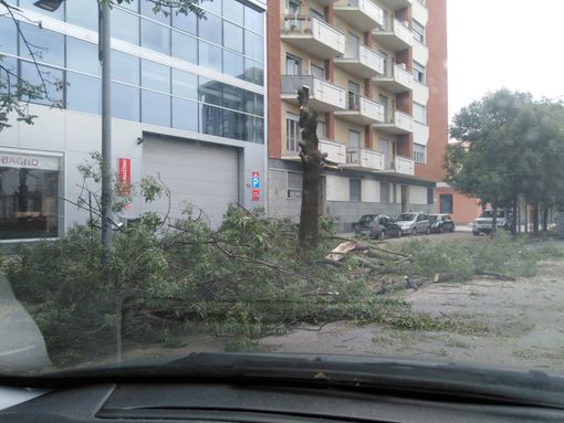 Il maltempo devasta anche la Circoscrizione 7 Il maltempo devasta anche la Circoscrizione 7