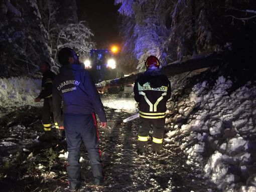 Sestriere, albero caduto blocca la strada: una donna muore sull'ambulanza