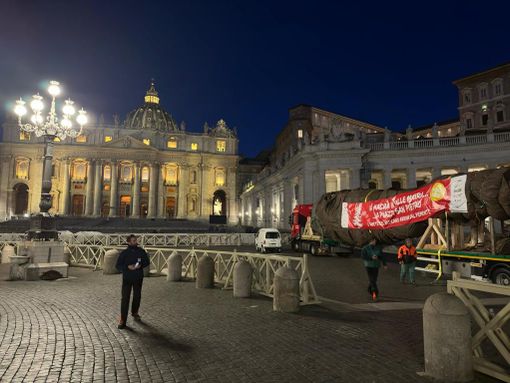 albero di natale in vaticano