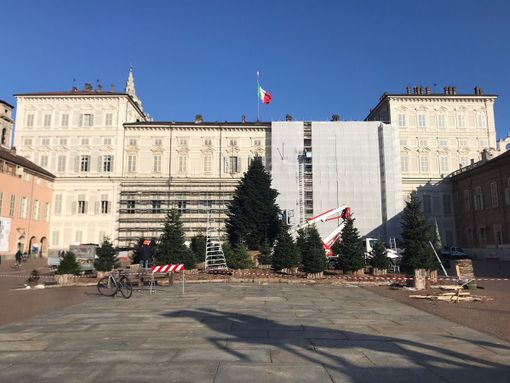 preparativi albero di natale